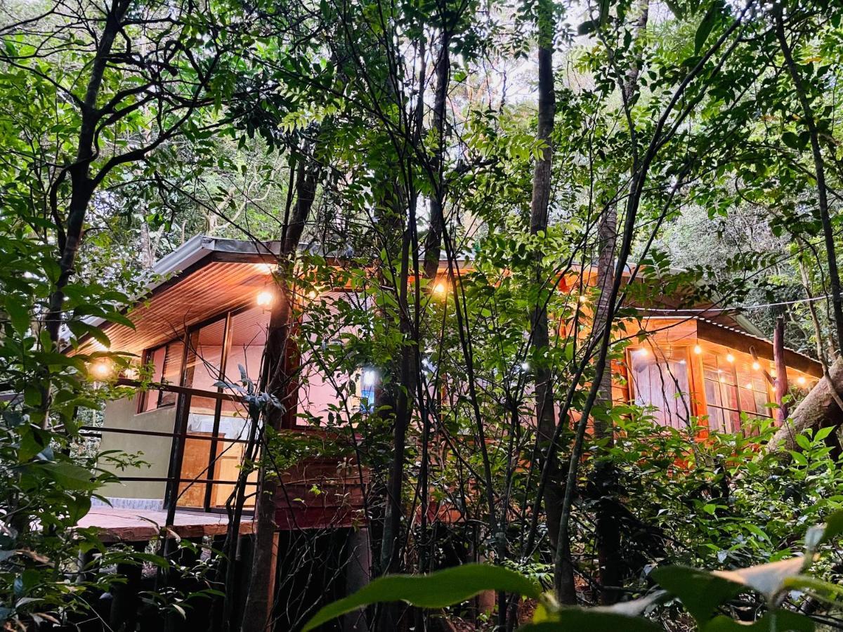 Cabanas La Montana Monteverde Exterior foto