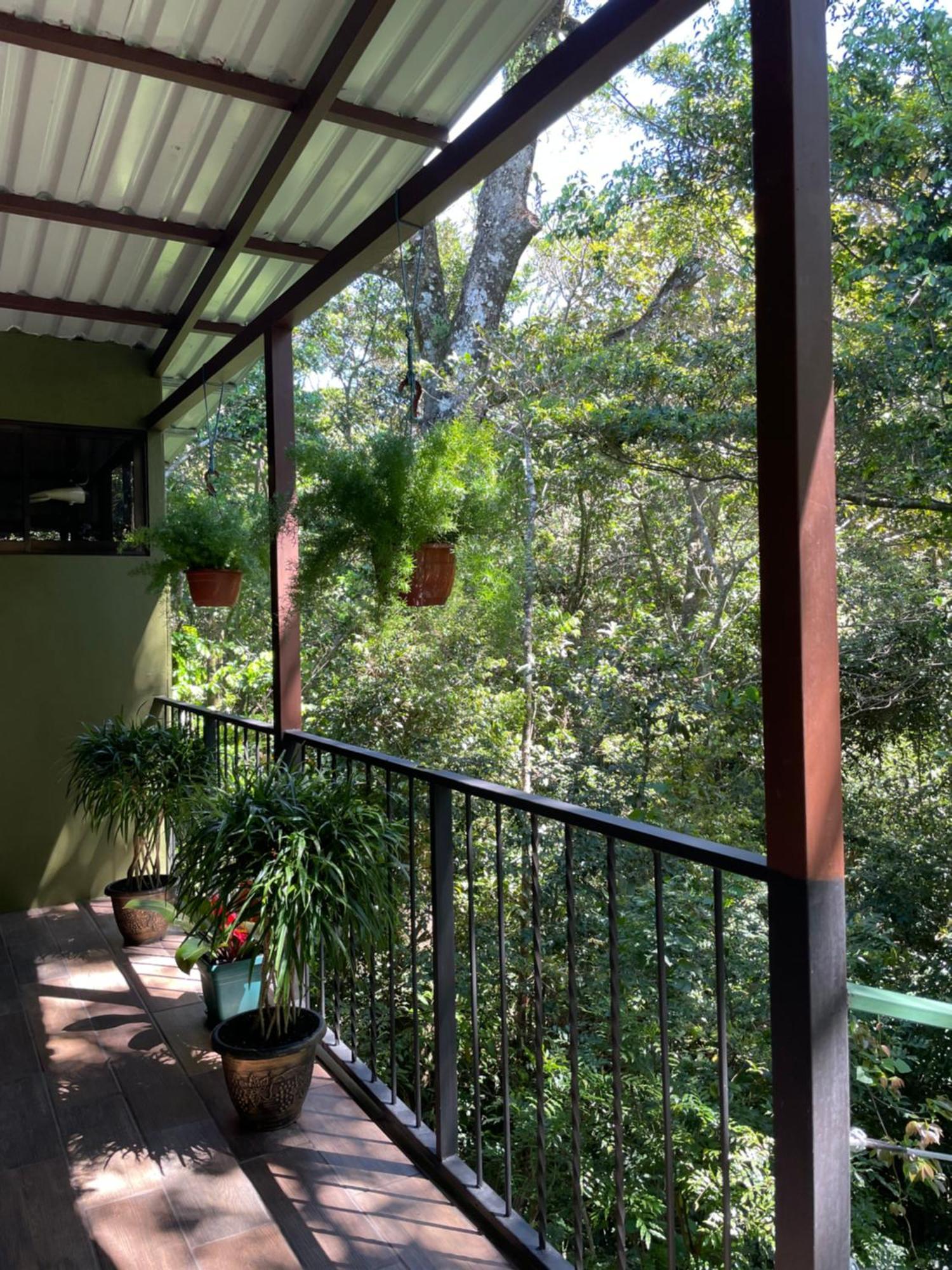 Cabanas La Montana Monteverde Exterior foto
