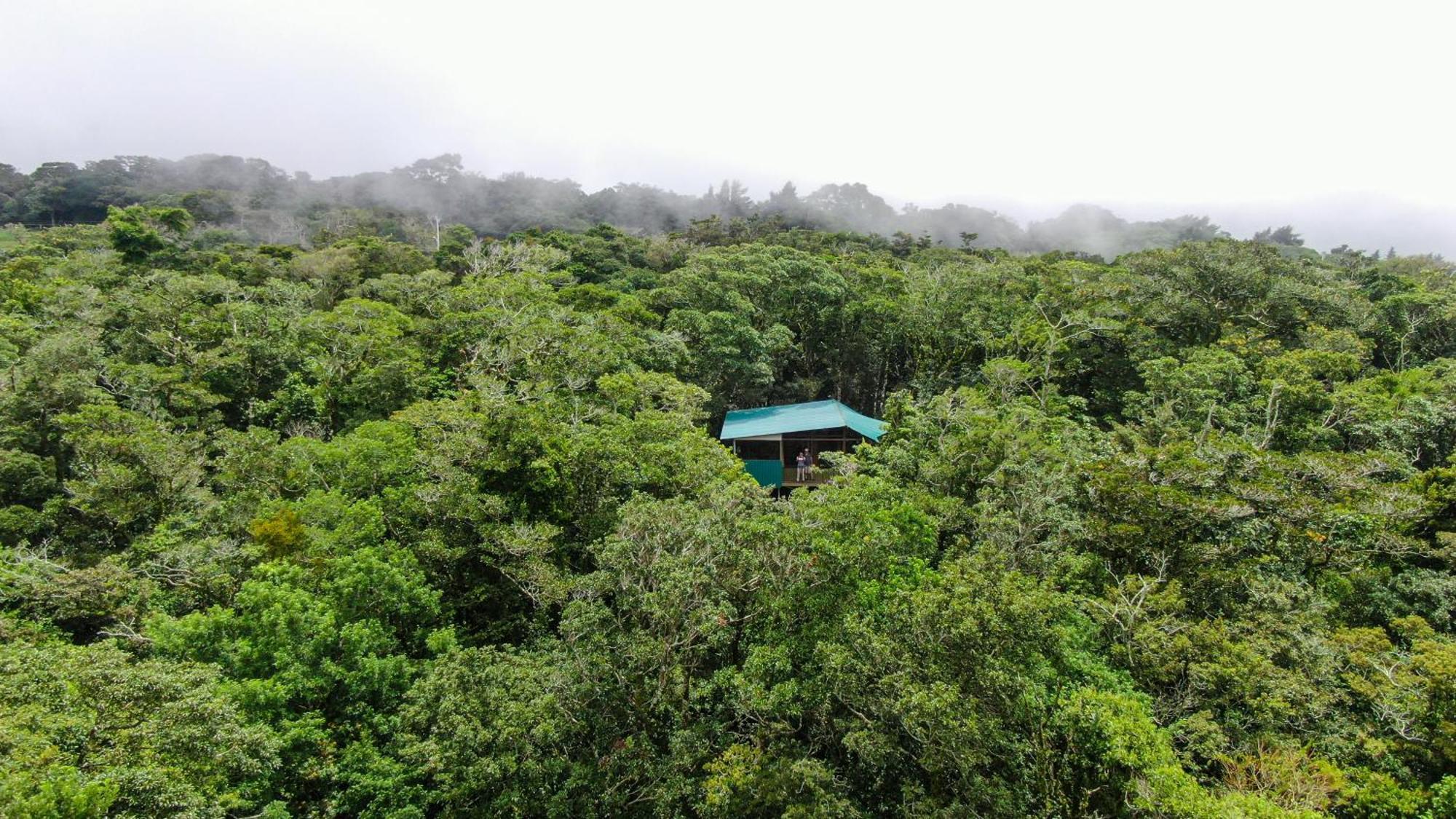 Cabanas La Montana Monteverde Exterior foto