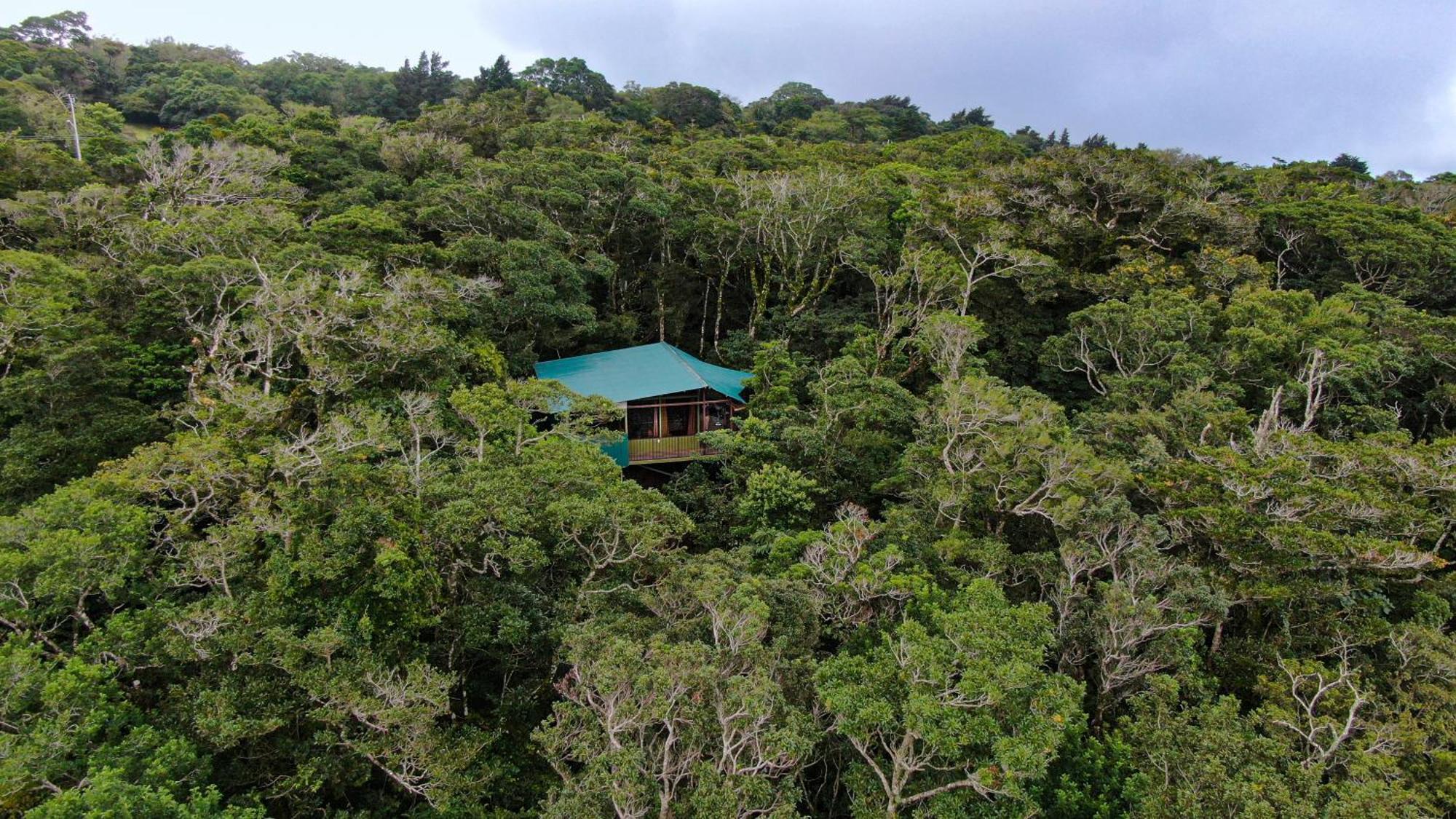 Cabanas La Montana Monteverde Exterior foto