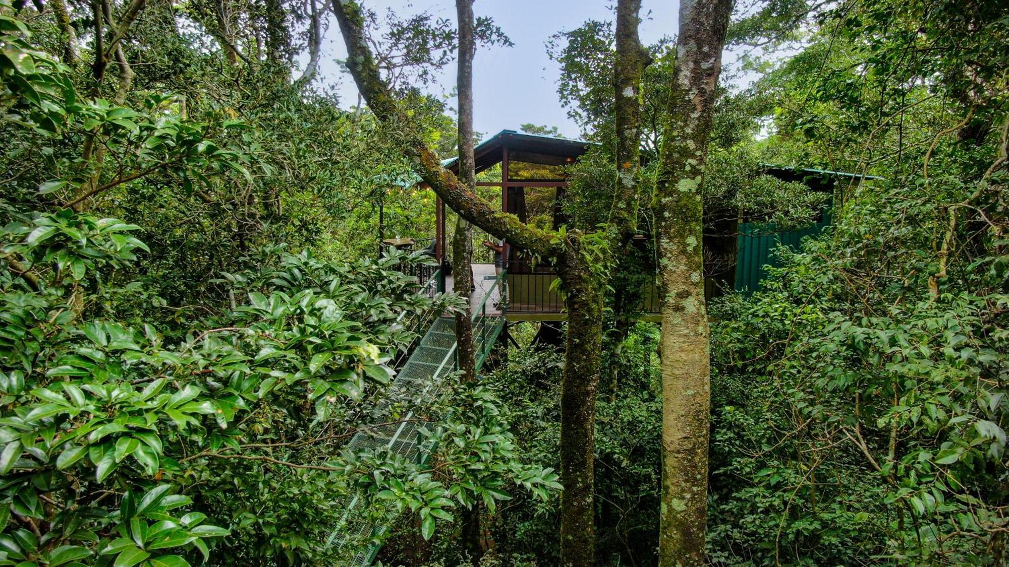 Cabanas La Montana Monteverde Exterior foto