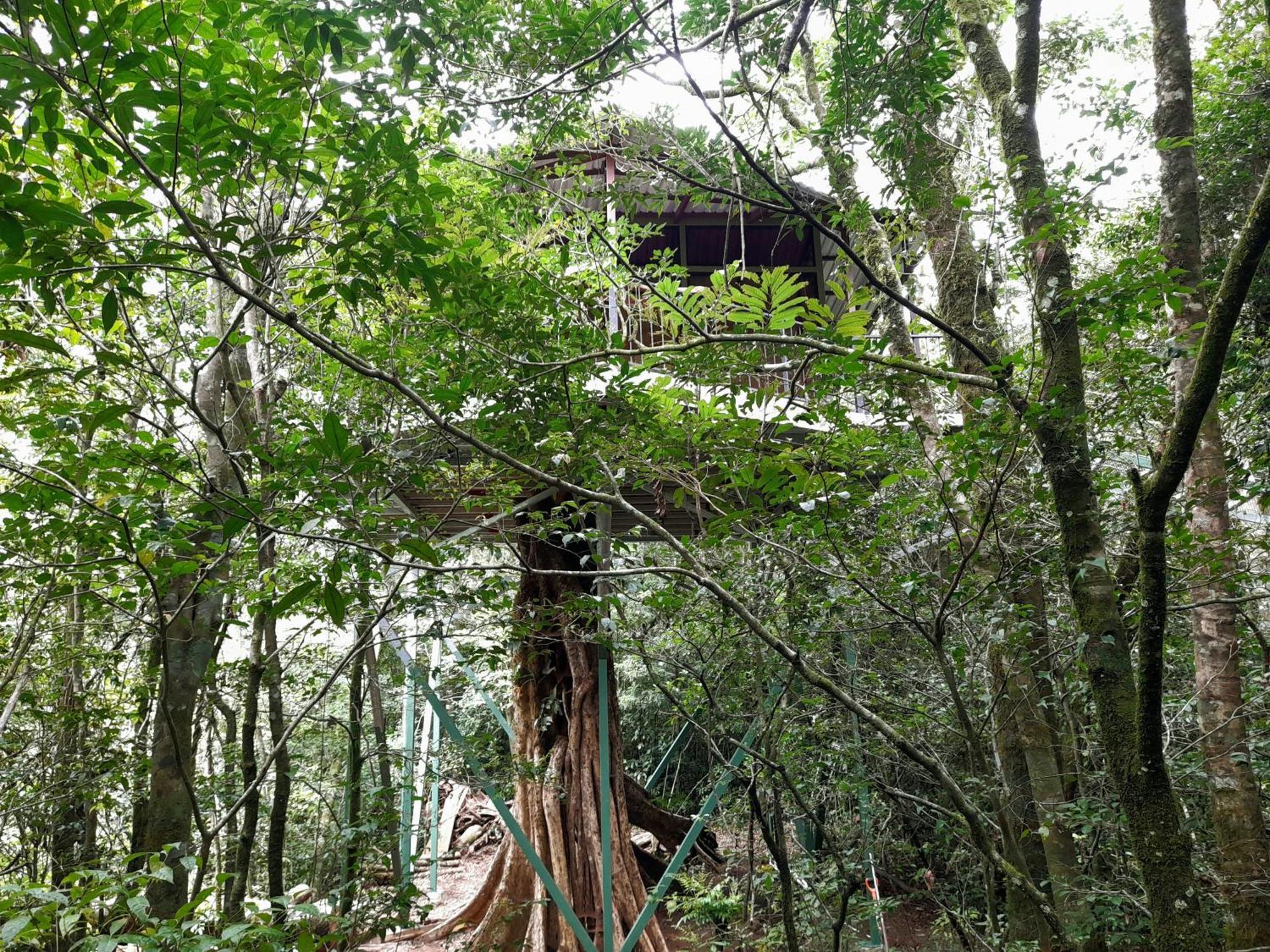 Cabanas La Montana Monteverde Exterior foto