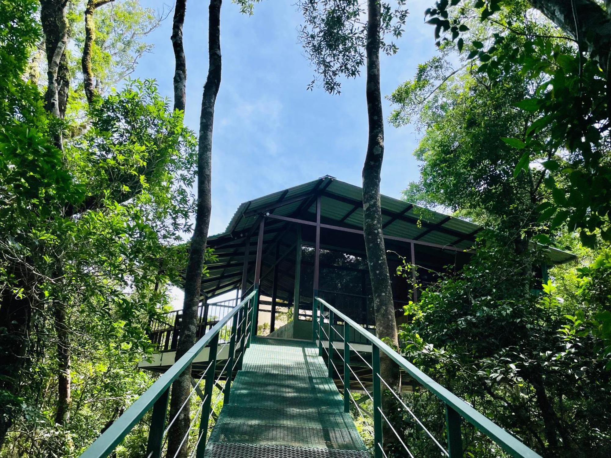 Cabanas La Montana Monteverde Exterior foto